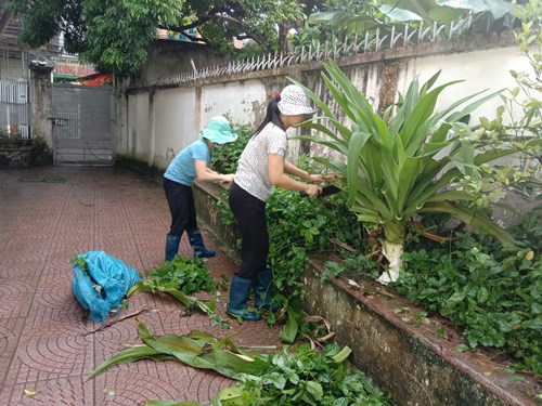 Phòng chống dịch bệnh và chặt tỉa cây xanh để đảm bảo AT trong mùa mưa bão tại trường học