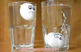 Thí nghiệm:    Trứng nổi trứng chìm  