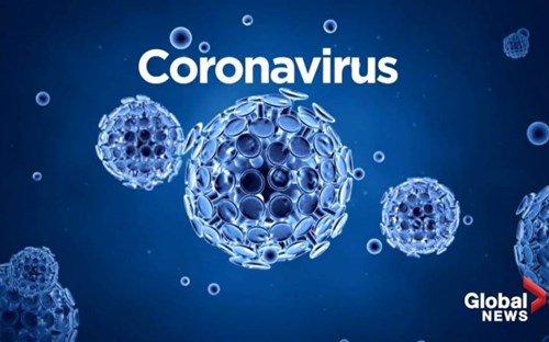 Cách phòng chống dịch bệnh virus Corona (2021) - Khối Nhỡ