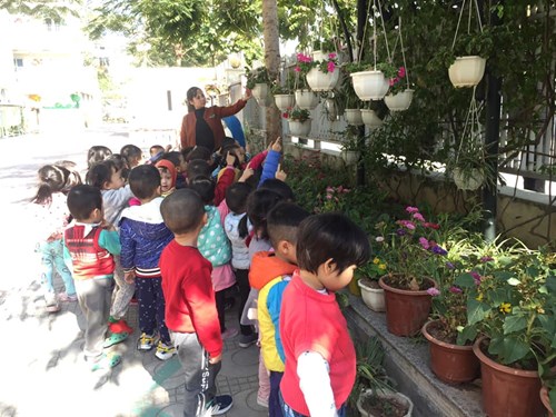 Hoạt động tham quan vườn hoa của các bạn nhỏ lớp MGB C1