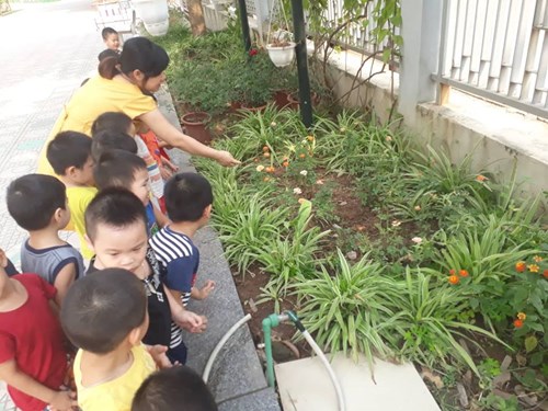 HĐNT: Các bé lớp MGNN B5 cùng nhau quan sát vườn hoa sân trường.
             TC: Cướp cờ.
           