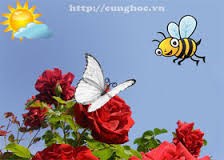 Bài thơ:  Ong và bướm 
