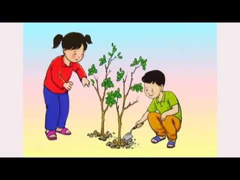 Truyện:  Bu Bu trồng cây 