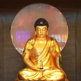 Truyện:  Sự ra đời của Đức Phật 
