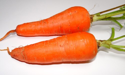 Câu đố về:  Củ cà rốt 