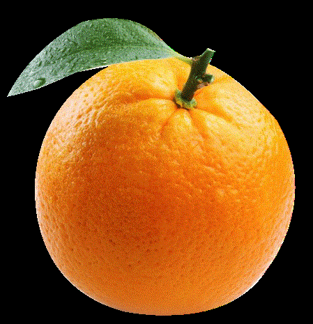 Câu đố về quả cam