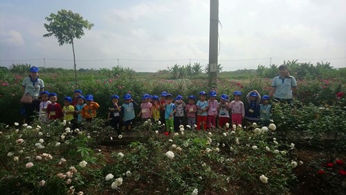 Cùng các bé lớp MGB C4 tham gia chuyến tham quan dã ngoại tại khu sinh thái Hải Đăng nhé !