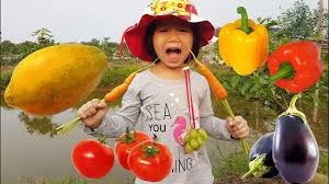 Video cùng bé đi thu hoạch  rau, củ, quả  và nhận biết các loại  rau, củ, quả  đó