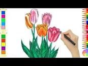 Video hướng dẫn trẻ vẽ hoa Tulip