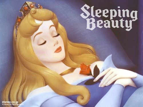 Truyện kể   Nàng công chúa ngủ trong rừng   