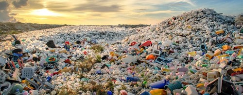 Rác thải nhựa: tiện 1 phút trả giá nghìn năm