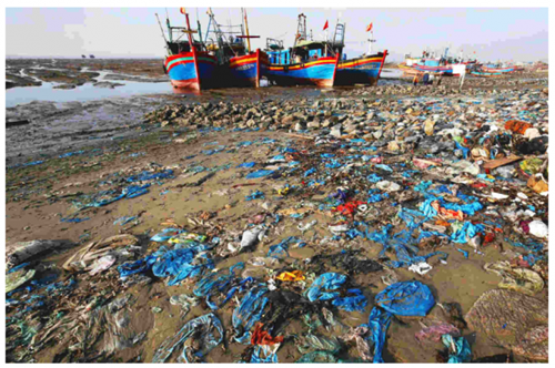 Rác thải biển: Tình trạng ô nhiễm báo động ở mức đáng sợ
