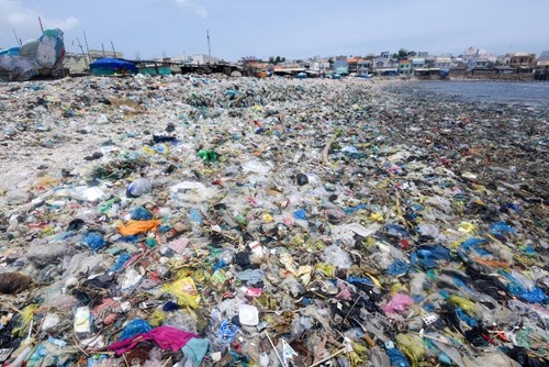 Tác hại môi trường từ rác thải nhựa
