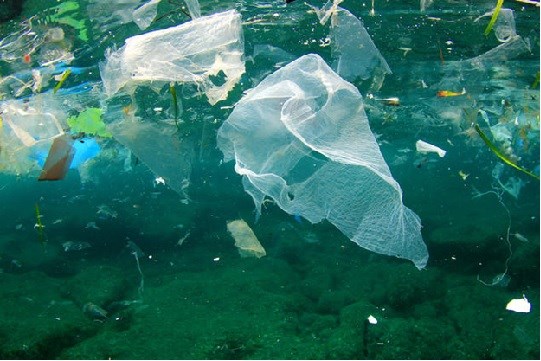  Rác thải nhựa” - Thực trạng và tác hại!