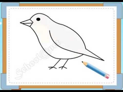 Video hướng dẫn trẻ vẽ con chim