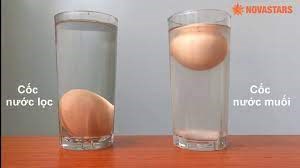 Thí nghiệm: Trứng nổi - trứng chìm
