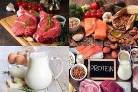 Thực phẩm giàu protein - Chế độ dinh dưỡng cho trẻ
