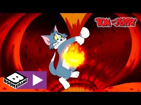 Tom and jerry 175