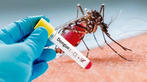 Phân luồng điều trị người bệnh Sốt xuất huyết Dengue