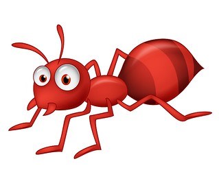 Khám phá những điều thú vị về loài kiến