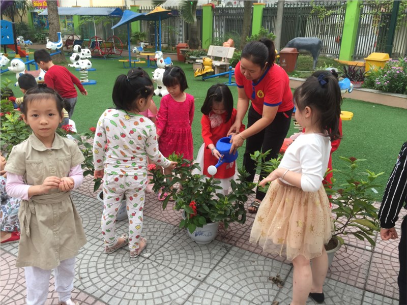 Lớp MGL A1 tham gia tết trồng cây