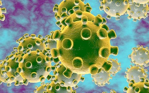 Các biện pháp giảm nguy cơ mắc chủng virus corona mới