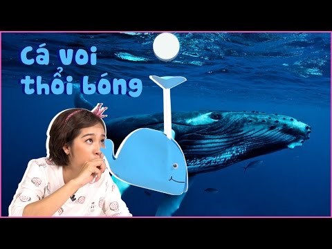 Làm Cá Voi Biết Thổi Bong Bóng | Make Whale By Paper