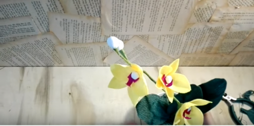 Đồ chơi tự tạo: Cách làm hoa lan hồ điệp bằng giấy nhún tuyệt đẹp
