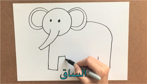 Vẽ con voi