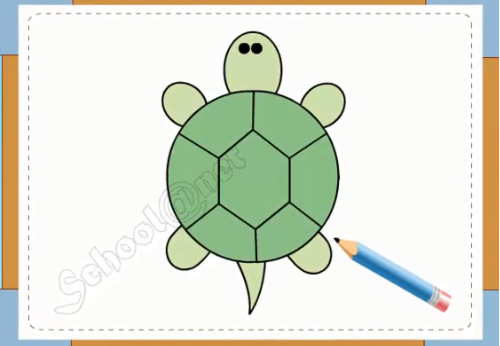 Vẽ con rùa