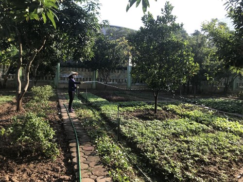 Cán bộ, giáo viên, nhân viên trường mầm non Hồng Tiến tham gia cải tạo, gieo trồng chăm sóc vườn rau tại trường.