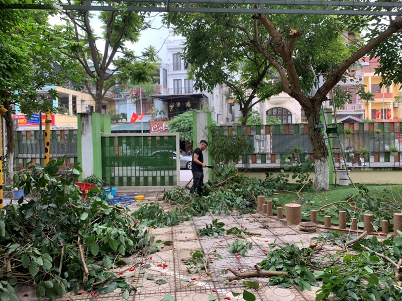 Trường mầm non hồng Tiến tiến hành rà soát, cắt tỉa cành cây phòng chống mưa bão.