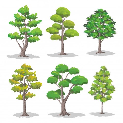 Bài giảng powerpoint: KP: Điều kiện sống của cây