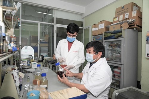 Việt Nam thử nghiệm thuốc điều trị Covid-19 từ thảo dược
