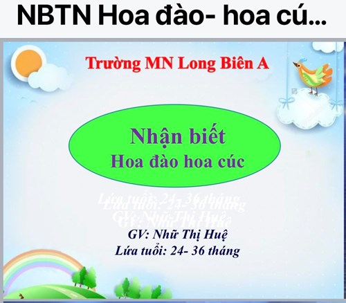 Video bài giảng NBTN: Hoa đào- Hoa cúc