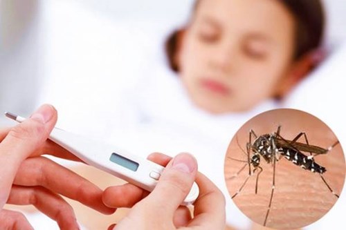 Dấu hiệu cảnh báo sốt xuất huyết trở nặng nguy hiểm và cách phòng ngừa bệnh