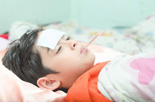 Thảo dược và bài thuốc hỗ trợ trị sốt do adenovirus ở trẻ