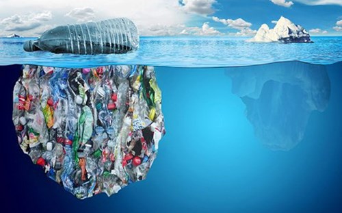 Hưởng ứng phong trào chống rác thải nhựa