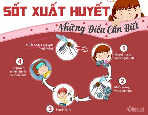 5 quan niệm thường gặp về bệnh sốt xuất huyết
