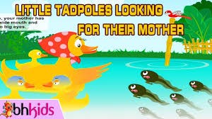 Little Tadpoles - Bedtime Story - Học Tiếng Anh Qua Truyện Cổ Tích