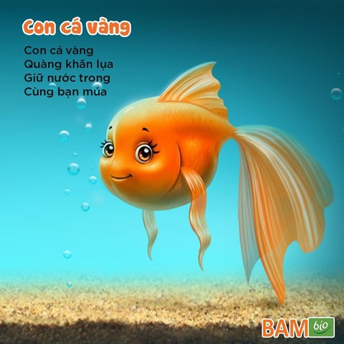 Bài thơ cho bé  Con cá vàng 