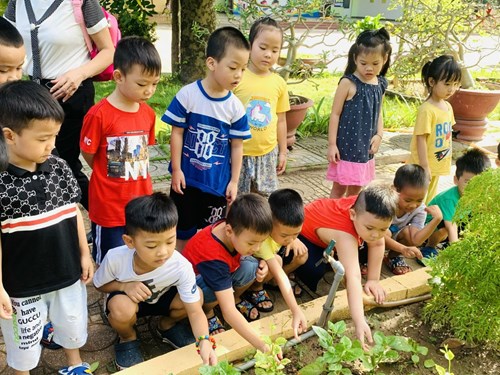 Các bé lớp mẫu giáo lớn A5 – trường mầm non Thạch Bàn chăm sóc vườn rau 