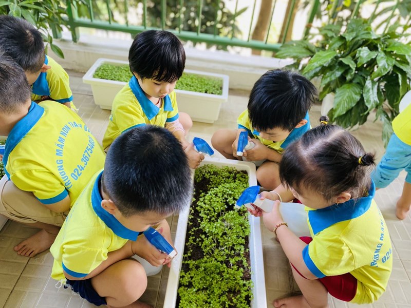 Cô và các bé lớp mẫu giáo bé C3 chăm sóc vườn rau 