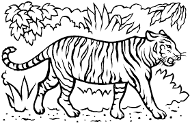 Tô màu tranh con hổ