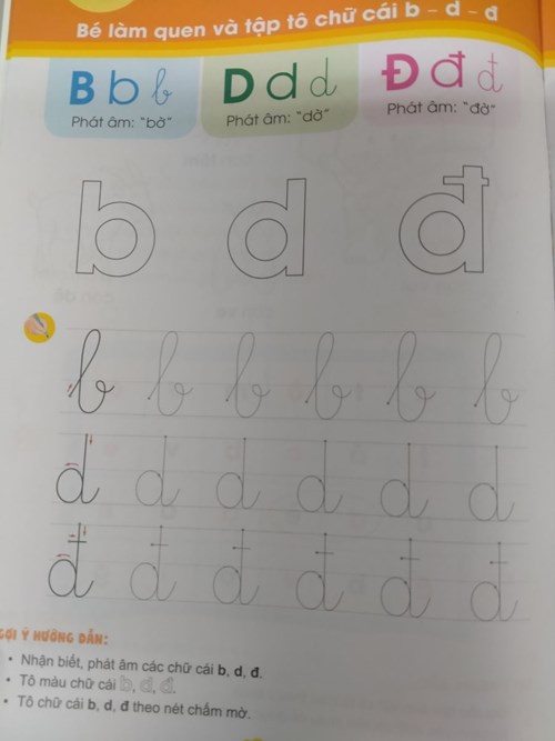 Bé tìm chữ b, d, đ và tô cho đẹp