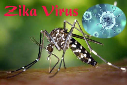 Thông điệp khuyến cáo phòng chống dịch bệnh do Virut ZiKa