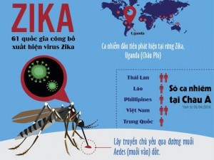 Phòng chống vi rút Zika