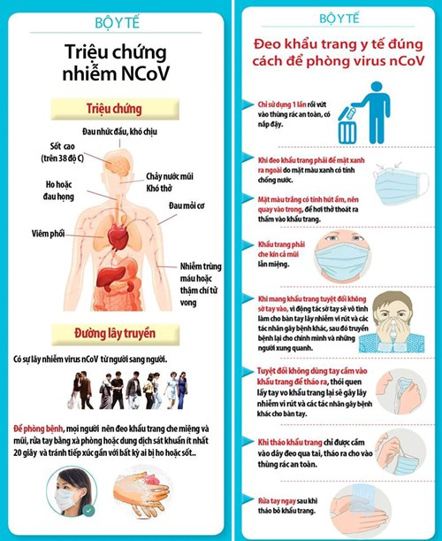 Những điều cần hiểu về virus corona – Bệnh viêm phổi do vi rút nCoV