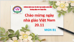 Giao lưu gặp gỡ, chào mừng ngày Nhà Giáo Việt Nam 20/11 của cô và trò lớp MGN B1