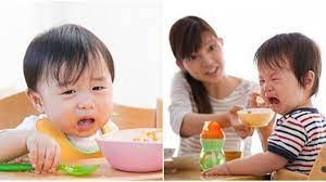 5 Nguyên tắc  TRỊ  BIẾNG ĂN hiệu quả mà mẹ nào cũng có thể áp dụng//Ăn dặm kiểu Nhật//Mẹ Aichan